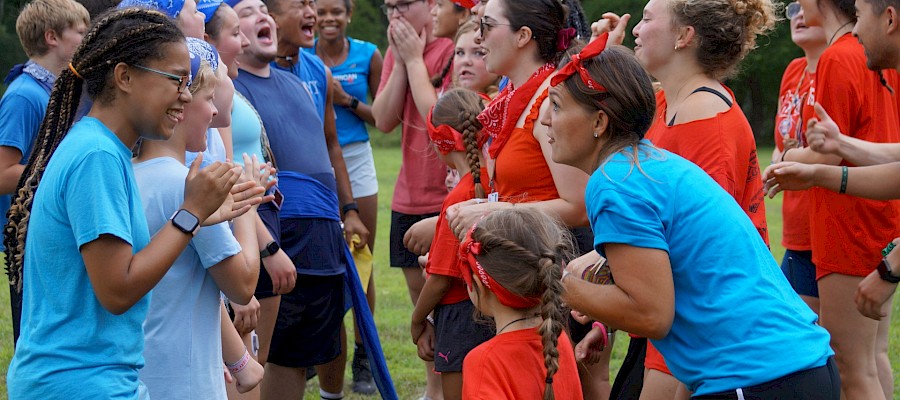 {$image->description}