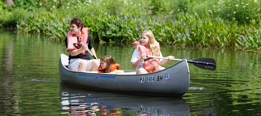 {$image->description}